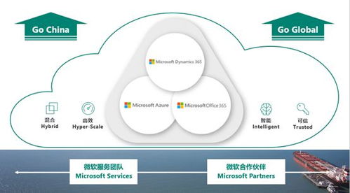微軟智能商業(yè)云中國區(qū)戰(zhàn)略解析 Dynamics 365 發(fā)布會獨家揭秘與軟件開發(fā)新機(jī)遇